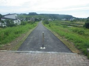 IMGP2608bp