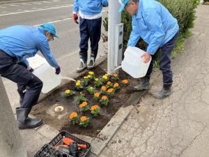 6.9本社花植え2