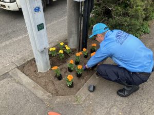 6.9本社花植え